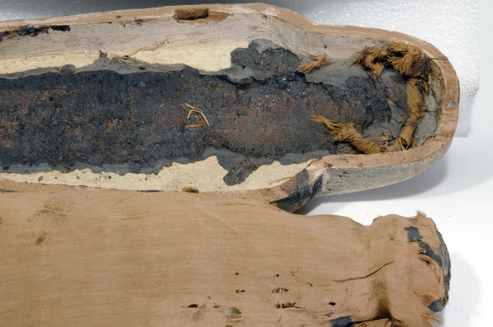 Egyptian Gilt Wood Polychrome Horus Falcon Grain Sarcophagus