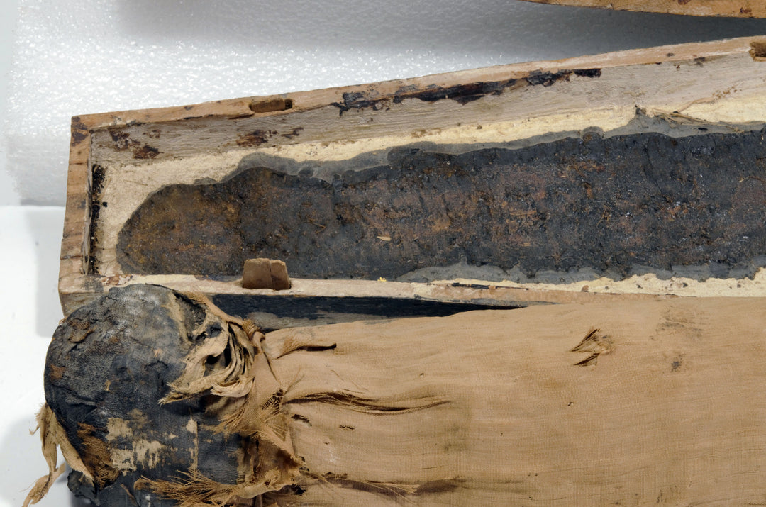 Egyptian Gilt Wood Polychrome Horus Falcon Grain Sarcophagus