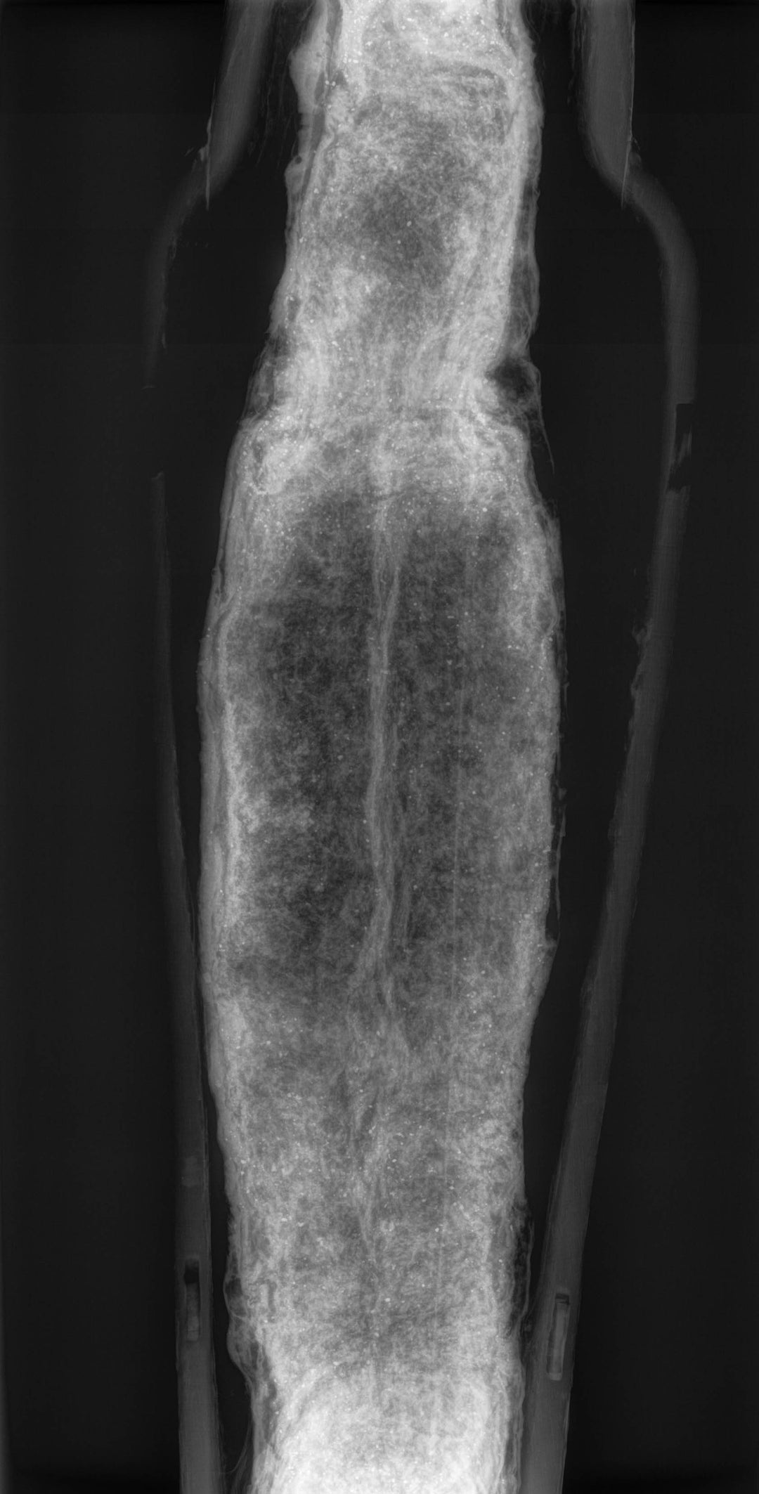 Egyptian Gilt Wood Polychrome Horus Falcon Grain Sarcophagus