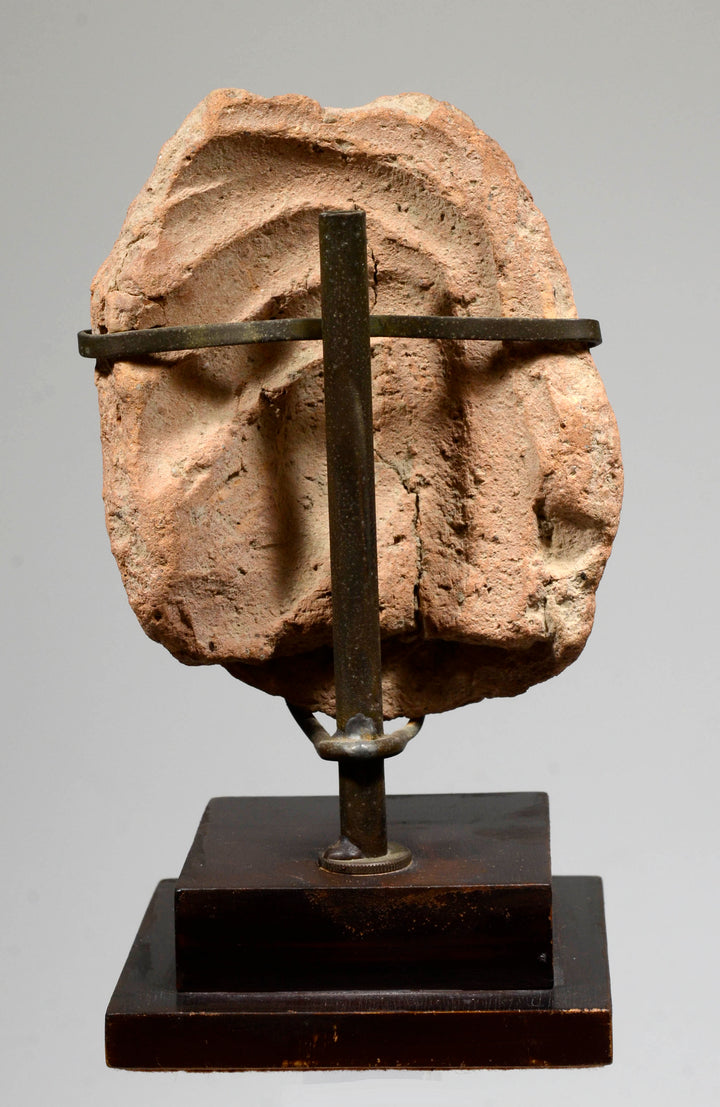 Etruscan Terracotta Votive Head