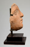 Etruscan Terracotta Votive Head