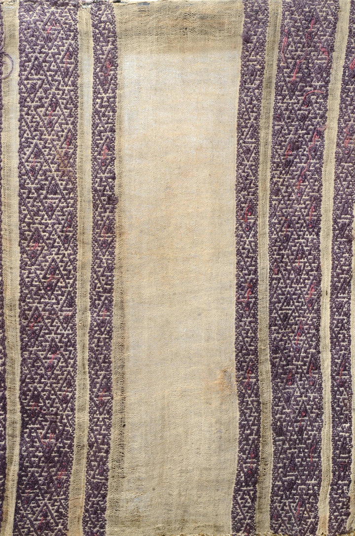 Chimu Woven Textile Mantle with Geometric and Zoomorphic Abstraction