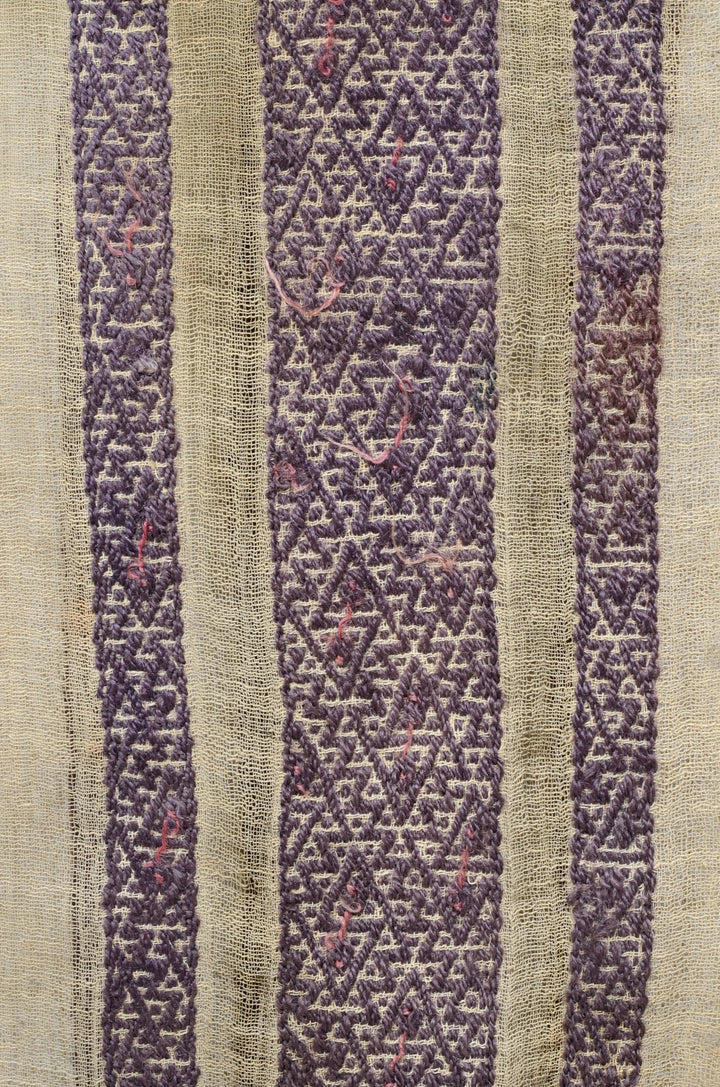 Chimu Woven Textile Mantle with Geometric and Zoomorphic Abstraction
