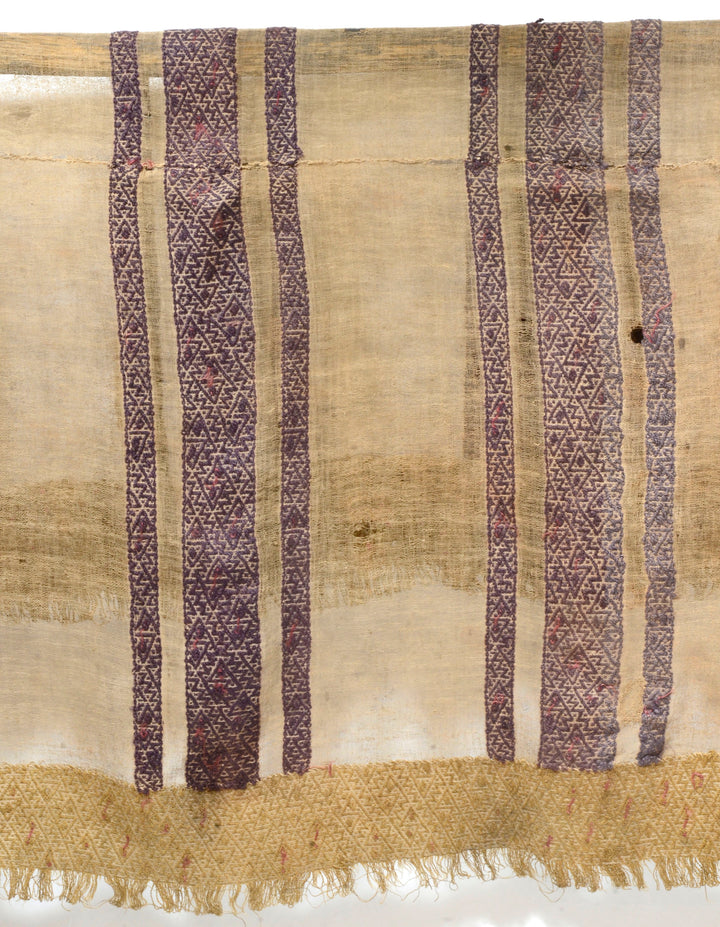 Chimu Woven Textile Mantle with Geometric and Zoomorphic Abstraction
