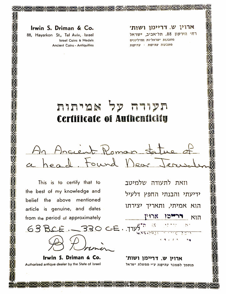 Ancient Roman Head of a Goddess