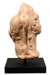 Ancient Roman Head of a Goddess