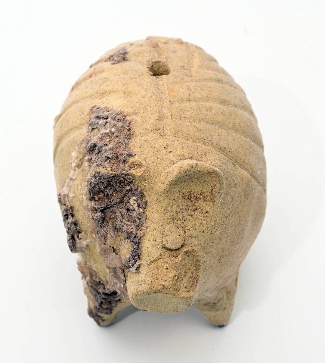 Mesopotamian Terracotta Boar