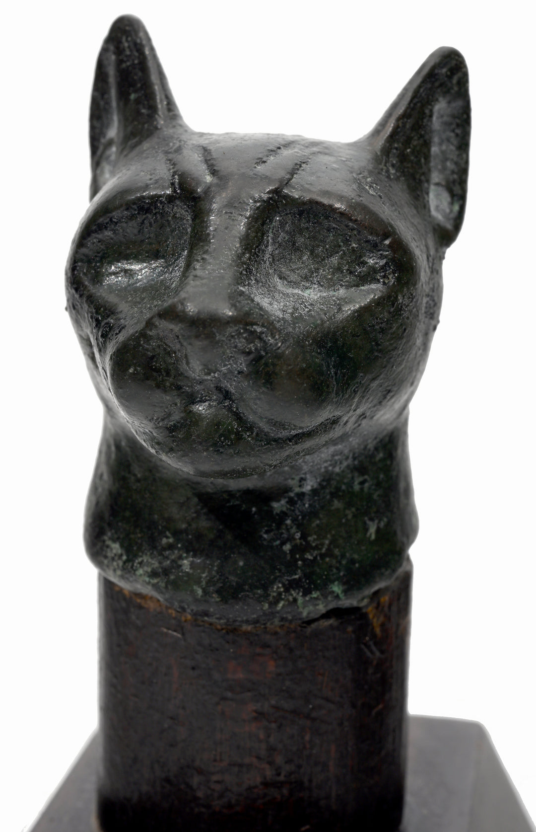 Egyptian Bronze Head of a Cat
