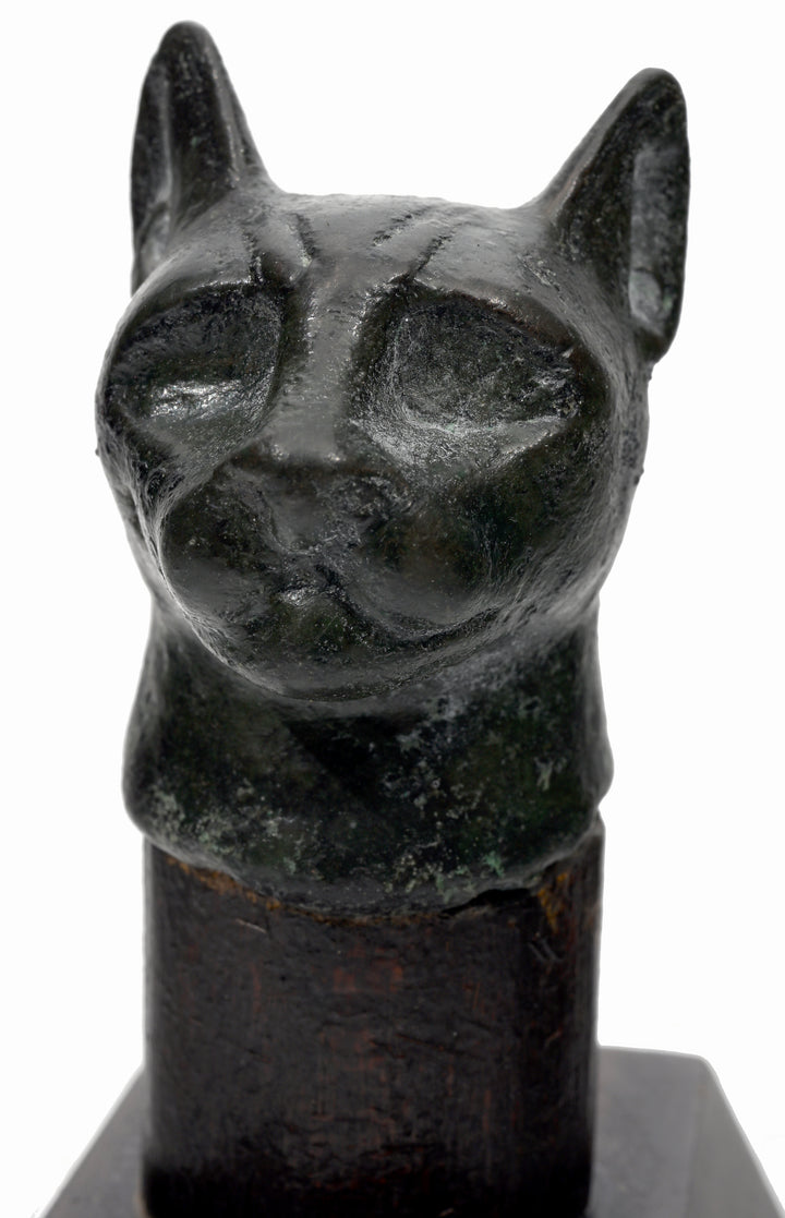 Egyptian Bronze Head of a Cat