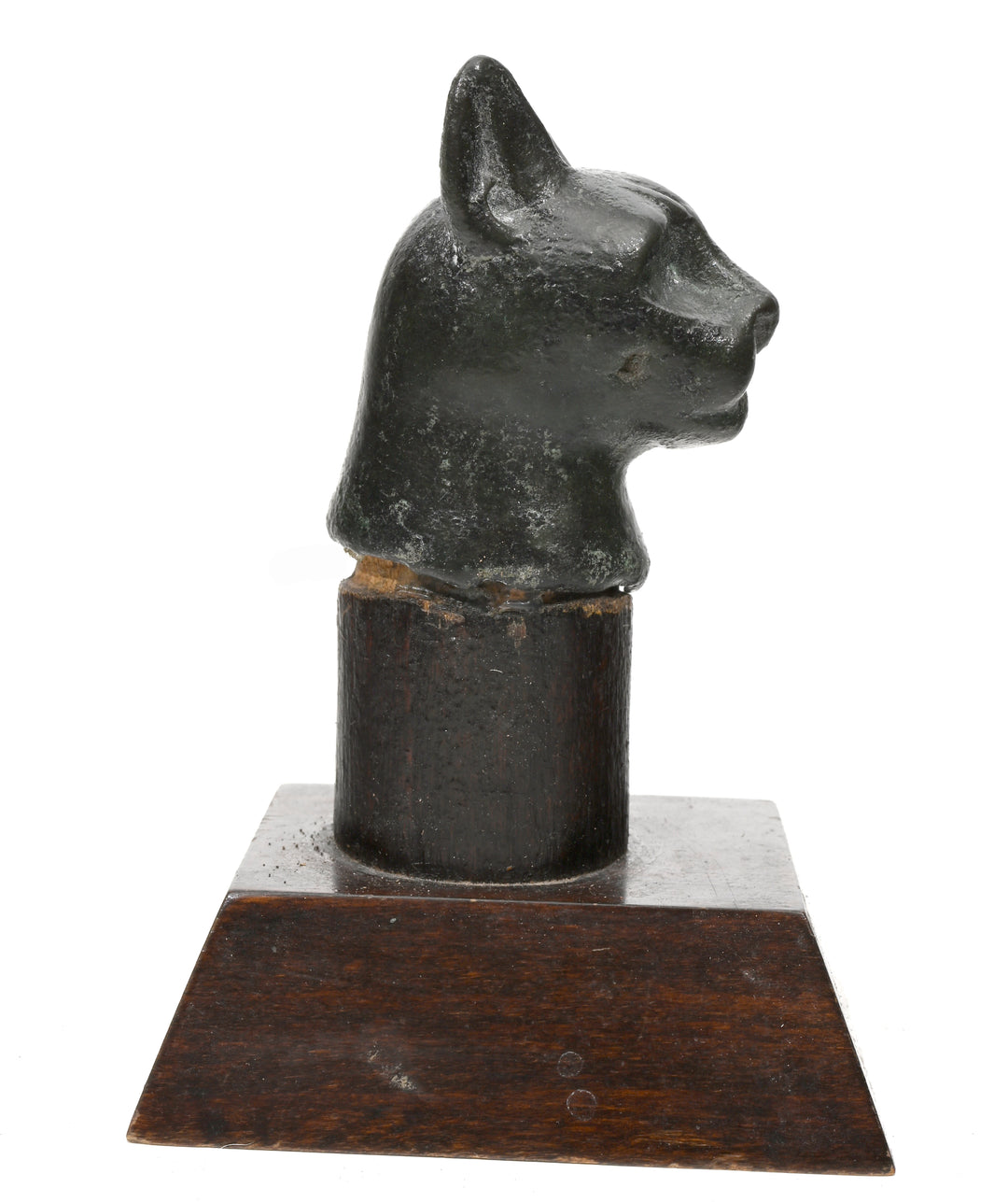 Egyptian Bronze Head of a Cat