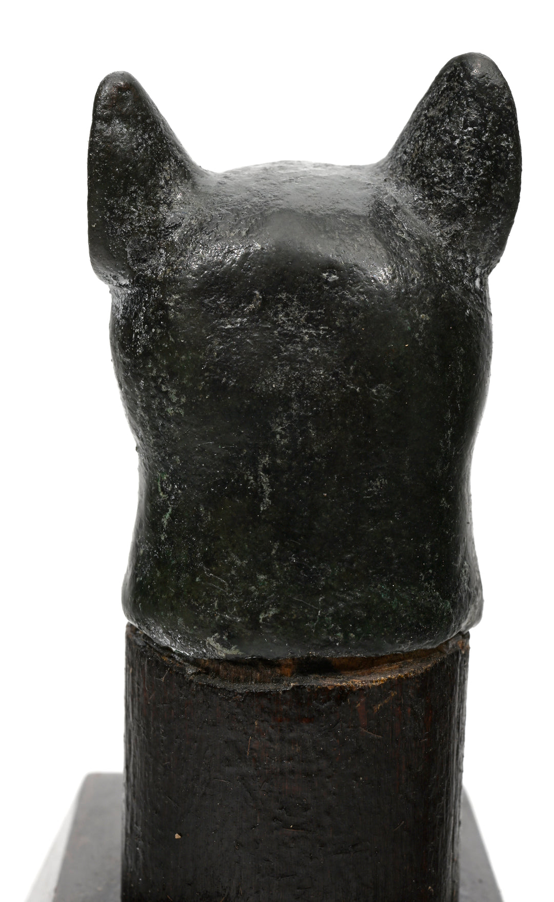 Egyptian Bronze Head of a Cat