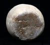 Egyptian Middle Kingdom  Ovoid Alabaster Jar