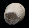 Egyptian Middle Kingdom  Ovoid Alabaster Jar