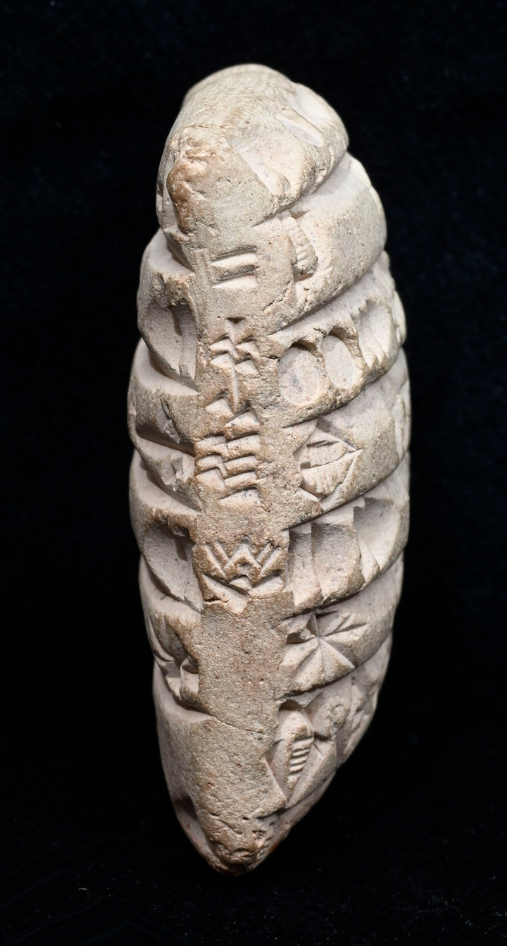 Mesopotamian Cuneiform Administrative Tablet
