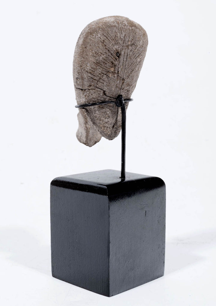 Valdivian Terracotta Bust of ‘Venus’