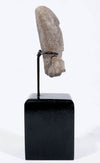 Valdivian Terracotta Bust of ‘Venus’
