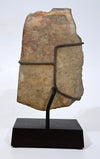 Roman Marble Relief Fragment with Head of a Youth