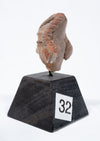 Tlatilco Pottery "Pretty Lady" Head