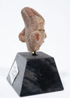 Tlatilco Pottery "Pretty Lady" Head
