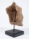 Pre-Columbian Veracruz Pottery Head