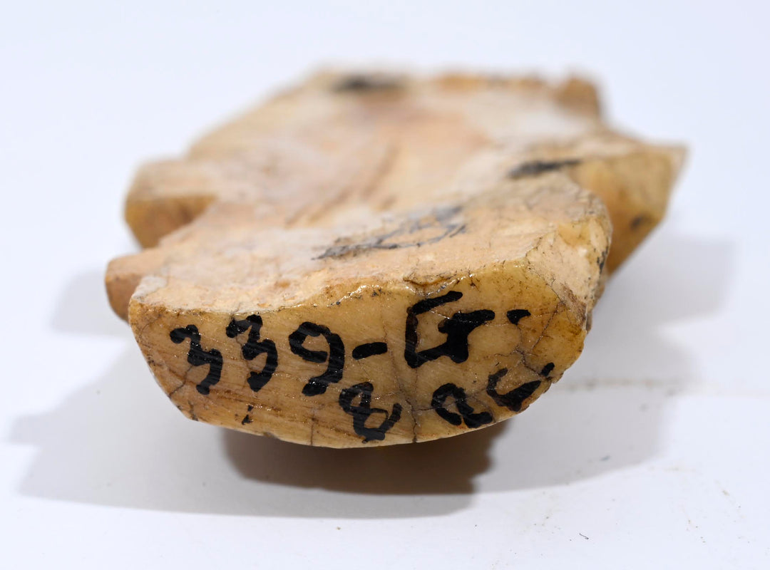 Coptic Bone Children’s Doll