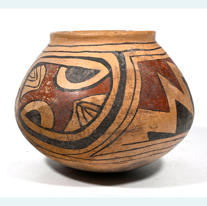 Casas Grandes Ramos Polychrome Olla
