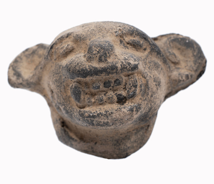 Pre-Columbian Pottery Jaguar Head