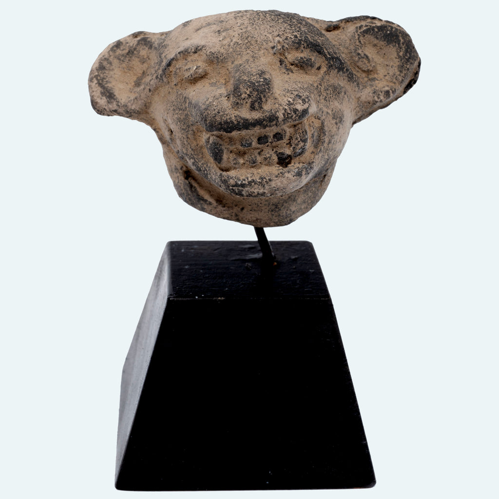 Pre-Columbian Pottery Jaguar Head