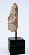 Greco-Roman Egyptian Terracotta Female Face Fragment