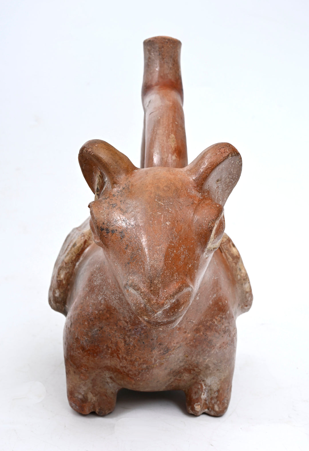 Moche Terracotta Llama Stirrup Vessel
