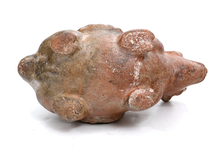 Moche Terracotta Llama Stirrup Vessel