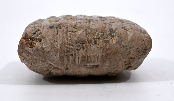 Mesopotamian Cuneiform Administrative Tablet