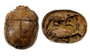 Egyptian Hyksos Tan Steatite Design Class Scarab