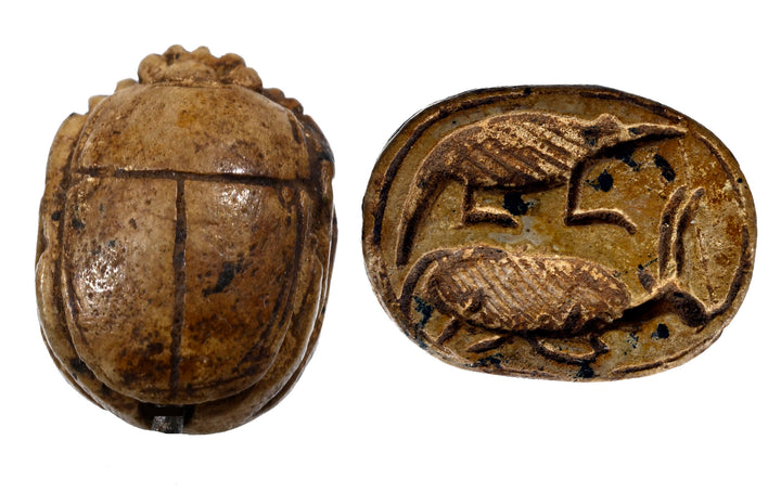 Egyptian Hyksos Tan Steatite Design Class Scarab
