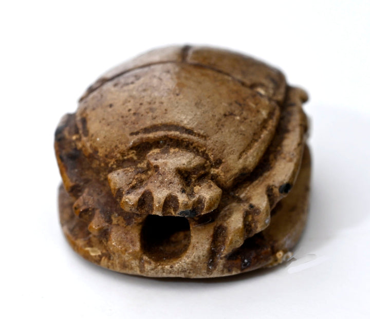 Egyptian Hyksos Tan Steatite Design Class Scarab