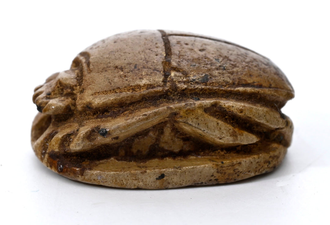 Egyptian Hyksos Tan Steatite Design Class Scarab