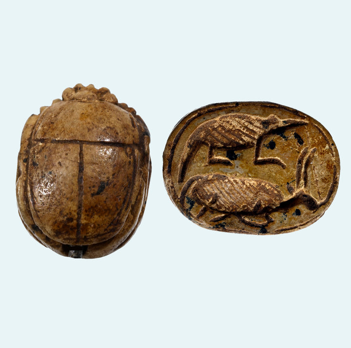 Egyptian Hyksos Tan Steatite Design Class Scarab