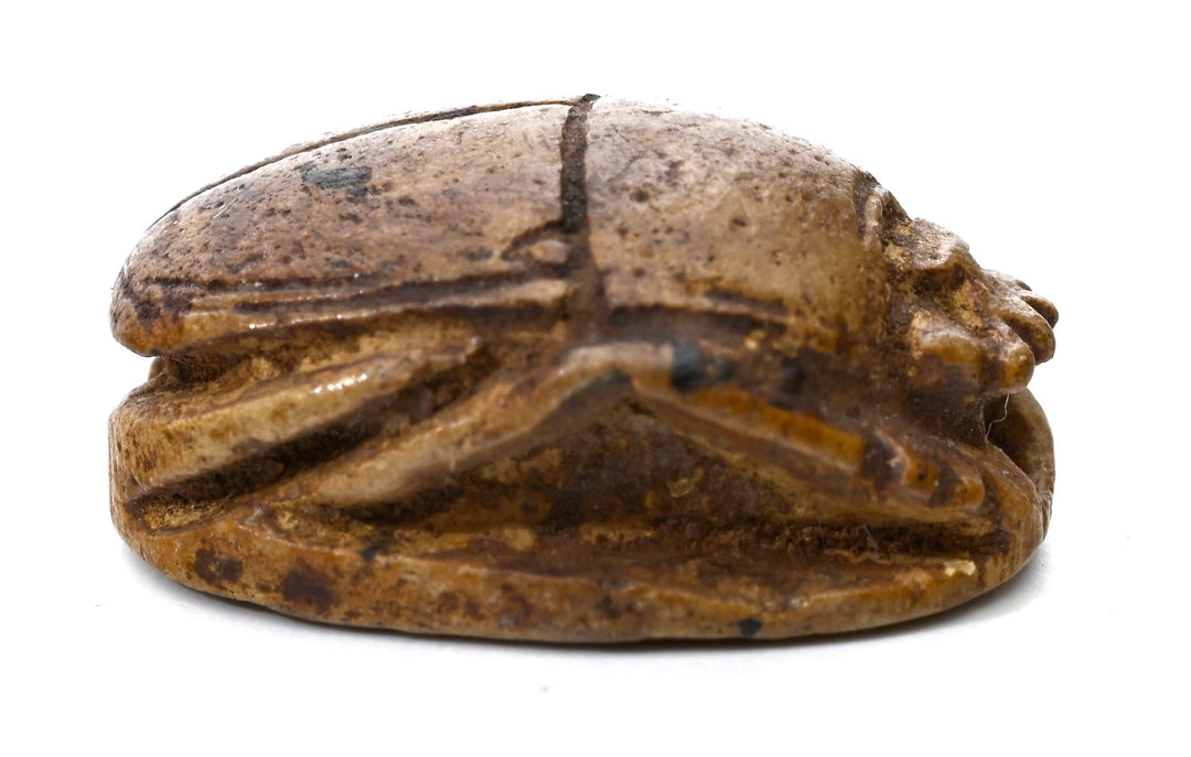 Egyptian Hyksos Tan Steatite Design Class Scarab