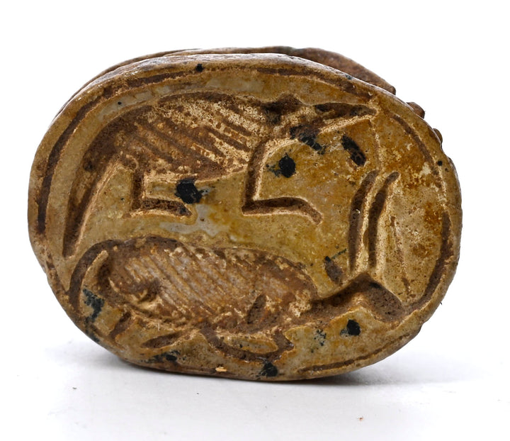 Egyptian Hyksos Tan Steatite Design Class Scarab