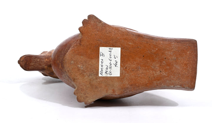 Moche Pottery Bird Formed Stirrup Vessel