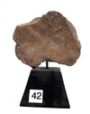 Pre-Columbian Maya Pottery Head