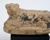 Egyptian Carved Limestone Recumbent Lion
