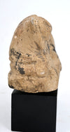 Egyptian Carved Limestone Recumbent Lion