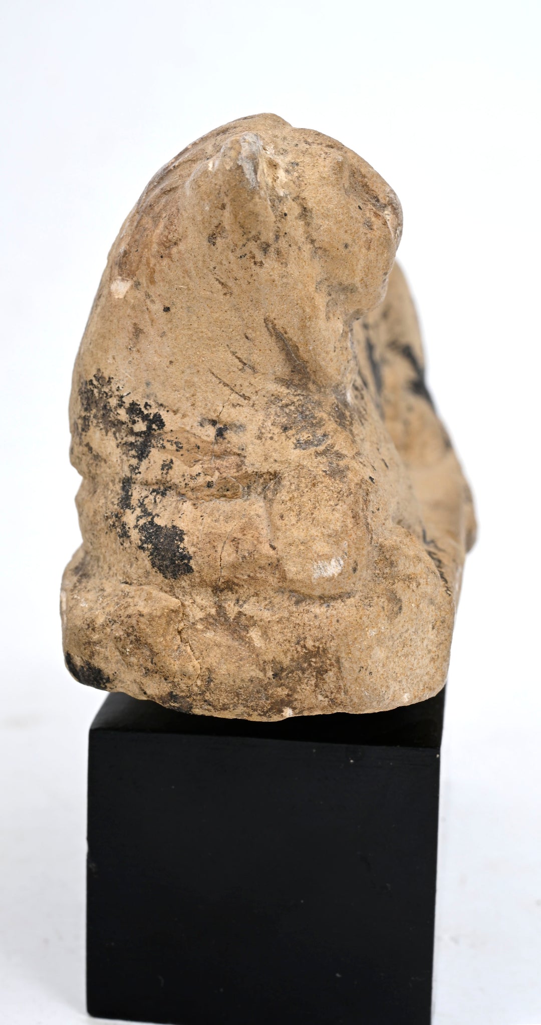 Egyptian Carved Limestone Recumbent Lion
