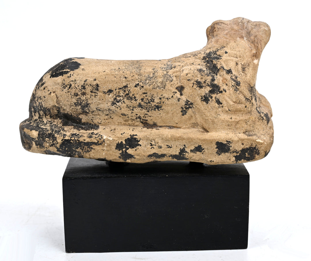 Egyptian Carved Limestone Recumbent Lion