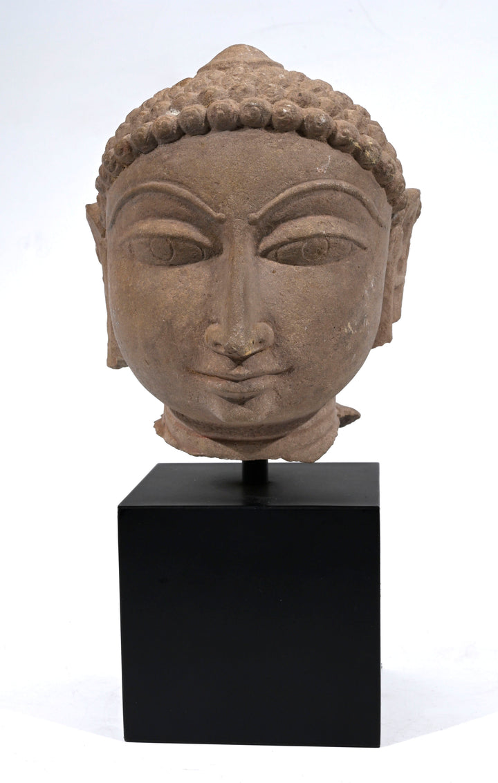Beautiful Indian Sandstone Head of a Jina Tirthankara