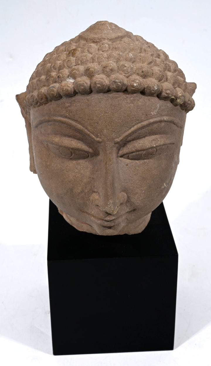 Beautiful Indian Sandstone Head of a Jina Tirthankara