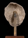 Roman Egyptian Painted Plaster Mummy Mask