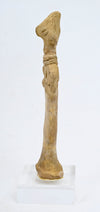 Syro-Hittite Terracotta Fertility Goddess Figure