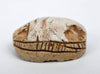 Egyptian Tan Steatite Scarab for Protection